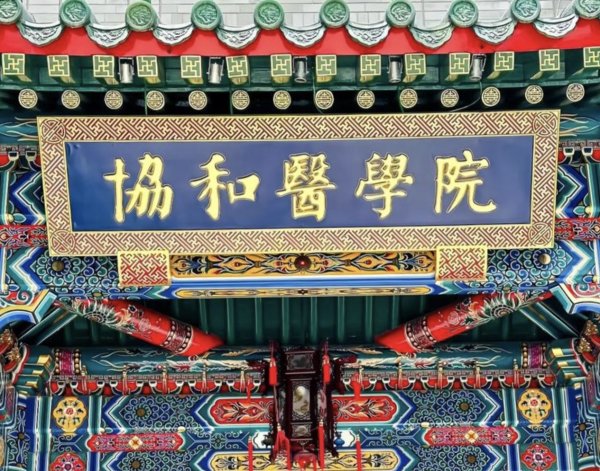 中金汇融 “4+4”资源为何挤破头？普通医学生培养时间能合理缩短吗