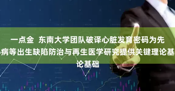 一点金  东南大学团队破译心脏发育密码为先心病等出生缺陷防治与再生医学研究提供关键理论基础