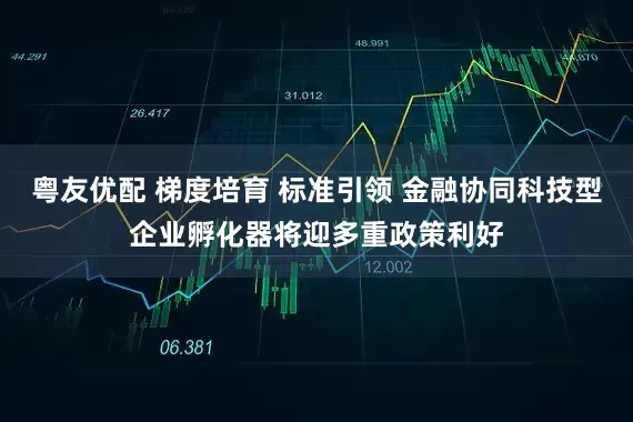 粤友优配 梯度培育 标准引领 金融协同科技型企业孵化器将迎多重政策利好