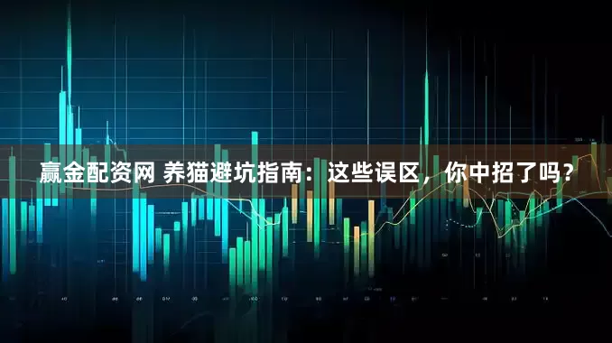 赢金配资网 养猫避坑指南：这些误区，你中招了吗？