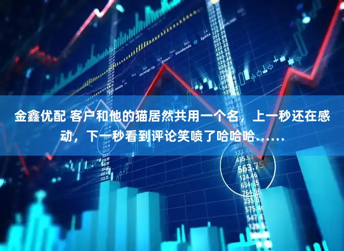 金鑫优配 客户和他的猫居然共用一个名，上一秒还在感动，下一秒看到评论笑喷了哈哈哈……